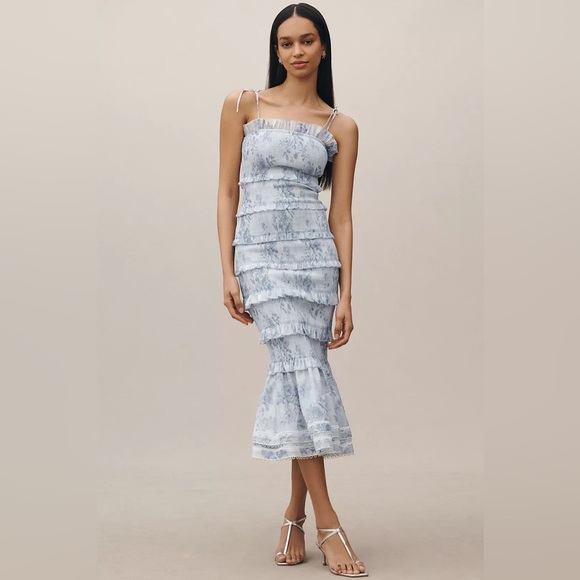 V. Chapman Dresses & Skirts - NWT V. Chapman The Geranium Dress (Reg $410) in Blue Tapestry Rose Size 6